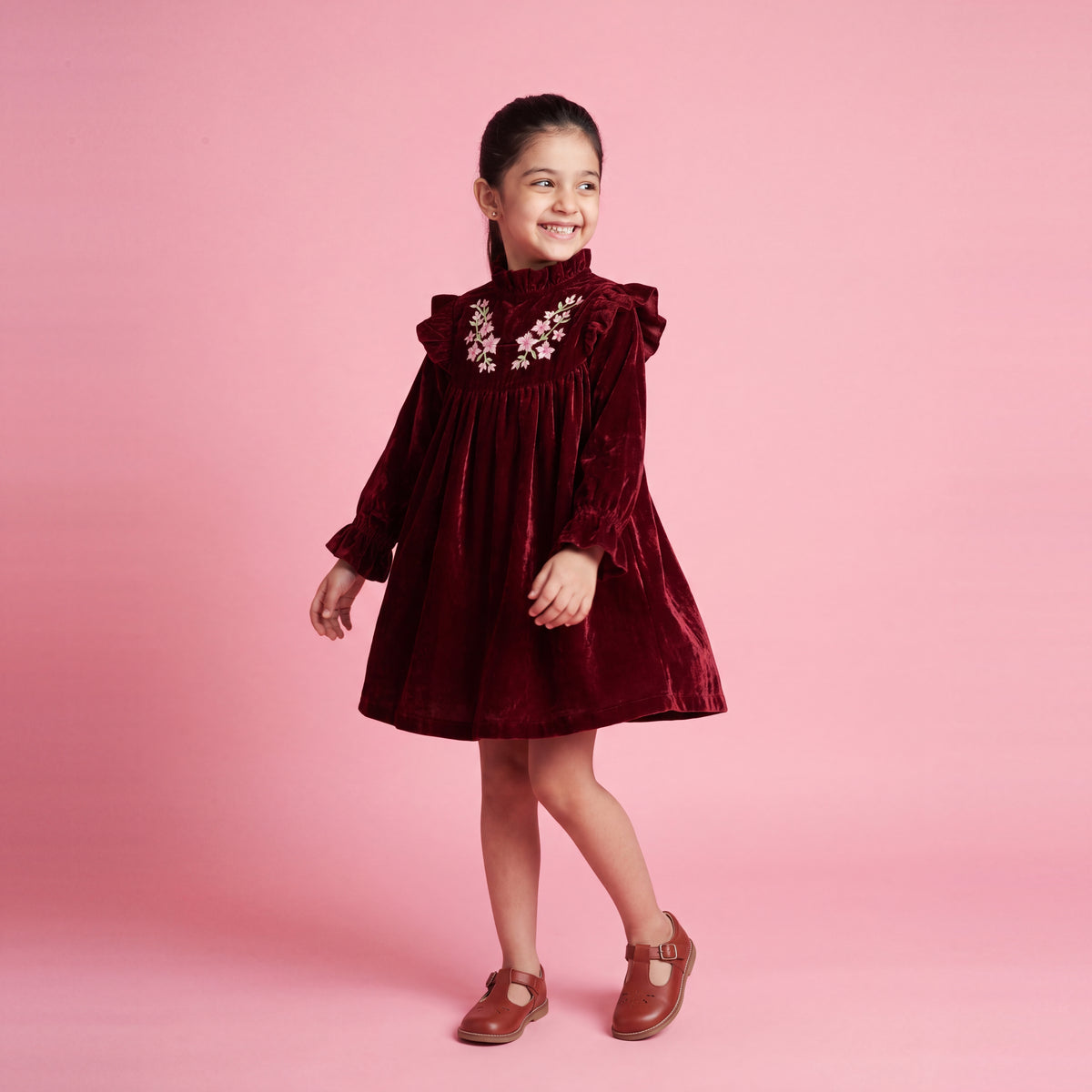 Rue Embroidered Velvet Dress