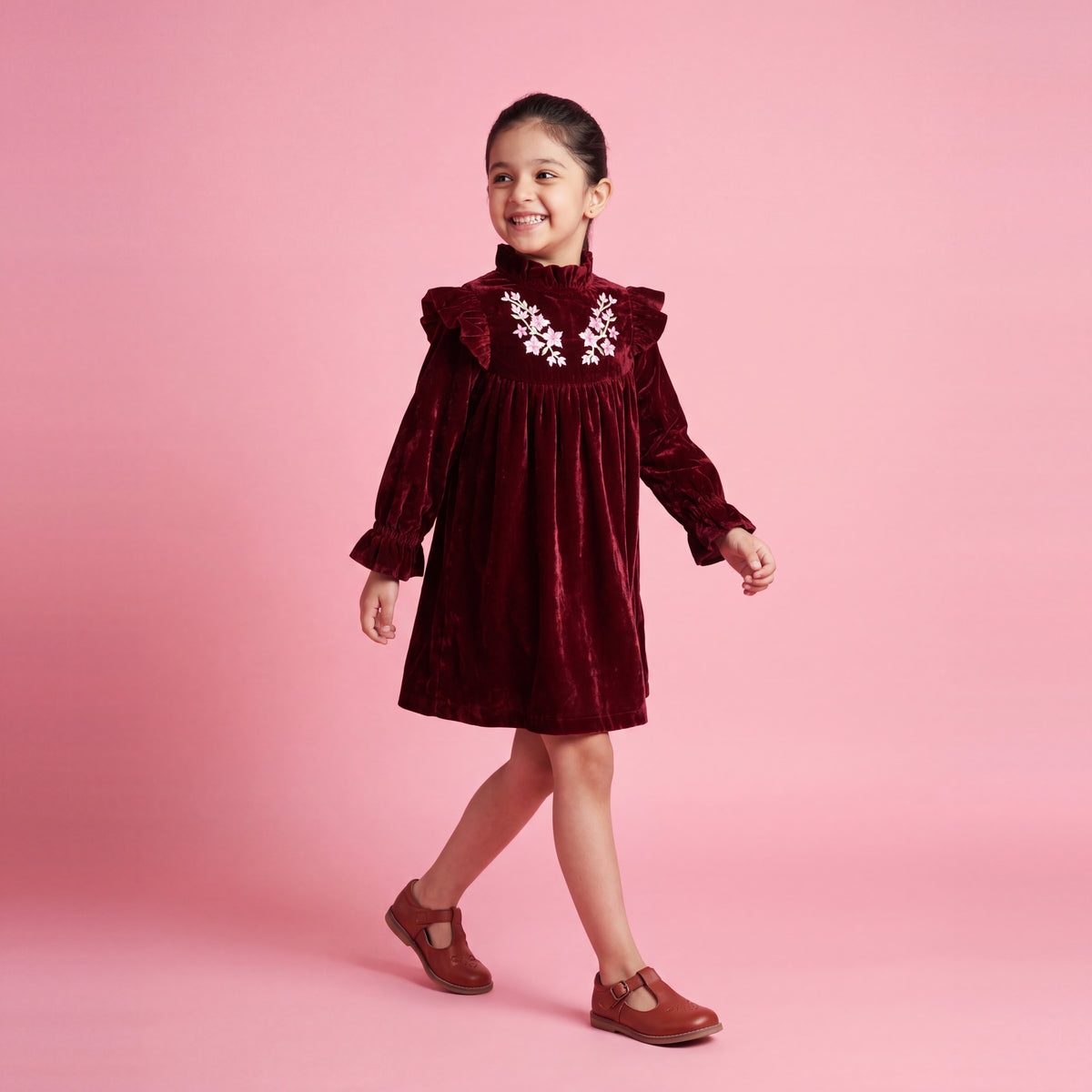 Rue Embroidered Velvet Dress